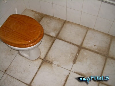 Ultimate tile Grout Cleaner - pFOkUS