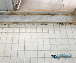 Tile, grout shower restoration products - pFOkUS