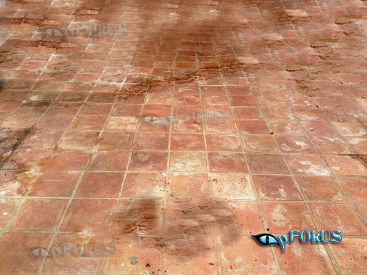 Terracotta Floor Tile Cleaning - pFOkUS