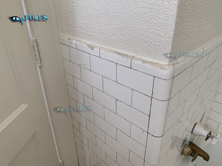 Shower Walls - Cleaning & Sealing - pFOkUS.jpg