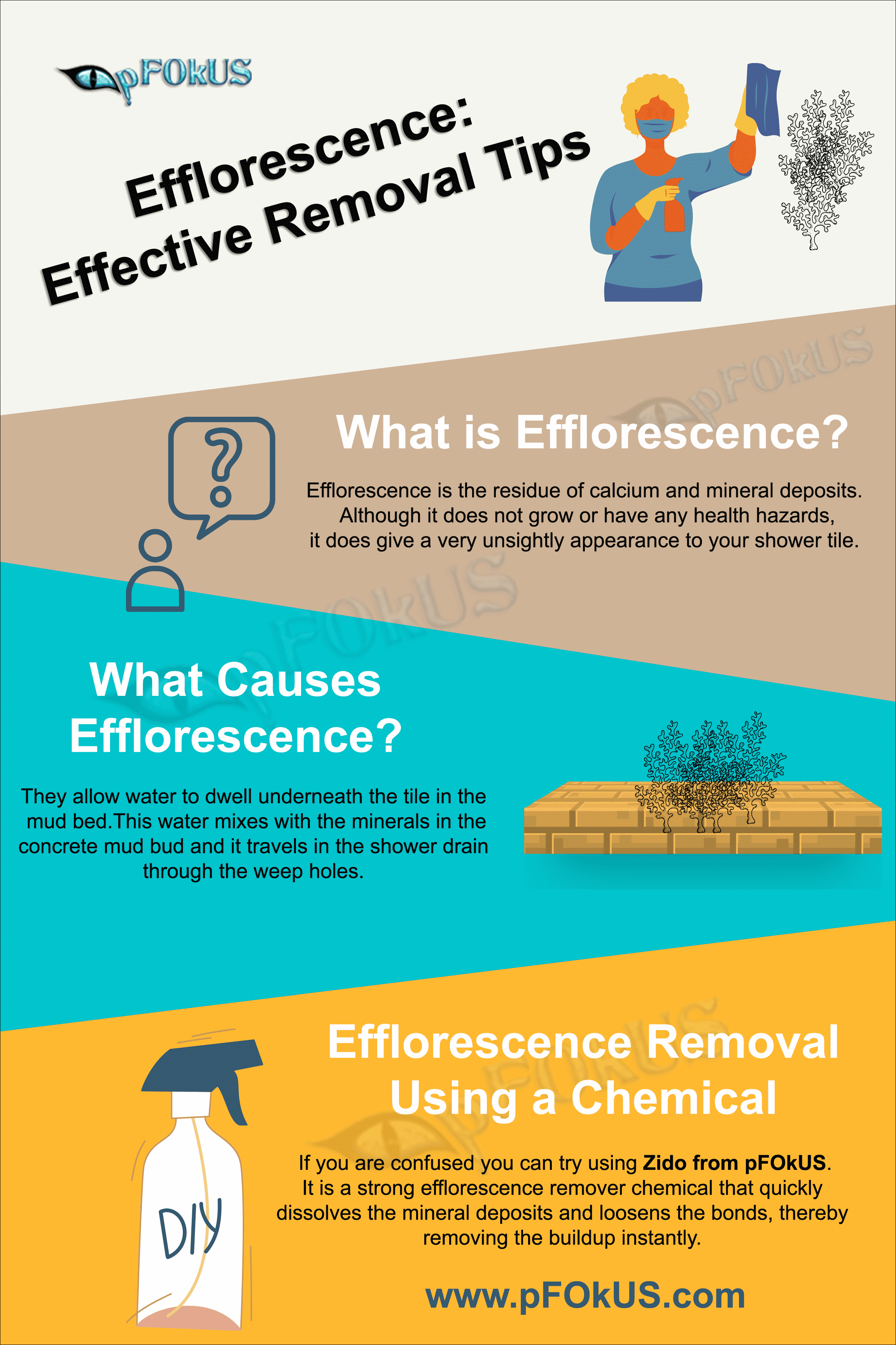 efflorence removal tips zido